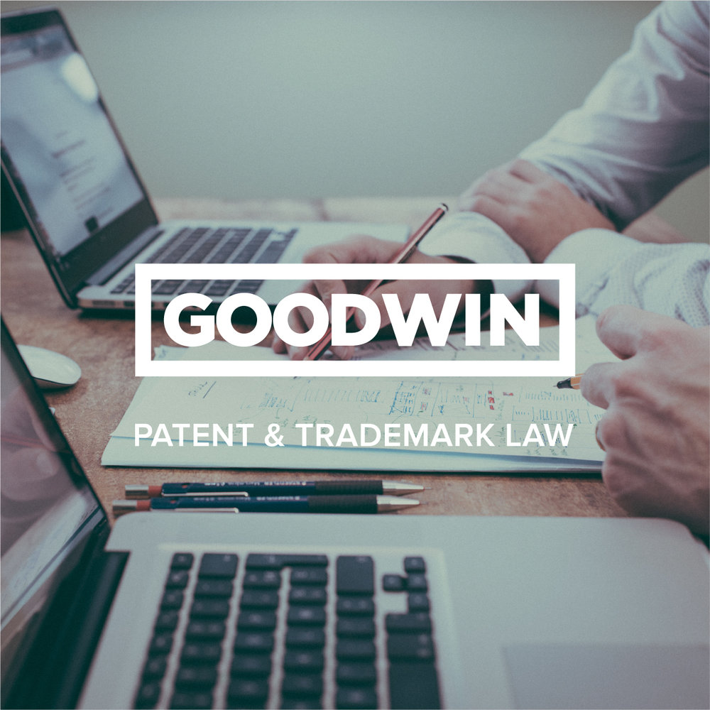 &lt;p&gt;&lt;strong&gt;Goodwin Law&lt;/strong&gt;&lt;/p&gt;